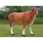 소 조형물 한우 조경 모형 야외 꾸미기 장식품 조각상 : 주식회사룸바이브