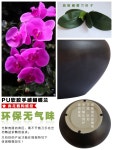 조화 화분 서양란 볼펜 자홍색 인조나무 자홍 사무실 블랙 화분 / 망고 / 8개 세트 : 구대럽럽