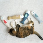 [패리스캣] 궁디팡팡캣닢토이[1팩단위/4EA] : 플레이뎁