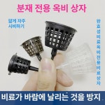 옥비료통 완효성 비료통 식물영양제 복합비료 칼슘비료 유기질비료 10개 CS 커피색 대형 커버 포함 옥비닐 박스 x10개 : bettershop101