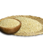 진안고원농산 2025년산 햇 찰보리쌀 보리 보리쌀 1kg, 1개 : 진안고원농산