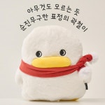 꽉홀로 집에 박스 인형 곽철이 : 케이씨코