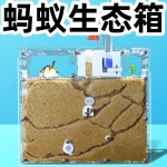 사육장 개미굴 키우기 관찰 채집 집 하우스 노란색 A. 흰색 성 전용 개미 포함 : 마음이 더하는공간