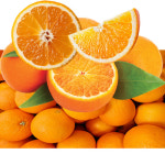 옥여사 고당도오렌지 최상품 5kg 카라카라오렌지 퓨어스펙 썬키스트 블랙 : 옥여사 몰