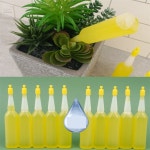 사모아플러스 식물영양제10P 식물종합영양제 : 사모아 플러스