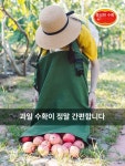 해이프 약 치는기계 소형 분무기 충전 휴대용 농사용 방 무선형 소형 수확 가방 : 유월무역소