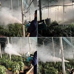 분말분사기 대용량소독기 가축농장분무기 자동살포기 : 바잉스타몰