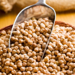 2025년 햇곡 수입 병아리콩 10kg (5kgx2봉) 이집트콩 밤콩 : 주식회사 현대농산