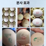라벨 인쇄 로봇 출력 날짜 난각 달걀 프린터 각인기 : 픽클로