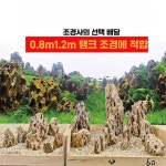 크래싱 황호석 수조 장식소품 어항 어항유목 제품 1. 50-60 F7980 (돌) : 글로벌톡