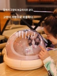 고양이 이동장 케이지 소형견 켄넬 투명 휴대용 이동가방 초경량 애견 산책 : 황금알 1-1