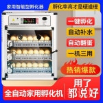 부화기 자동 오리 메추리 닭 알 거위 달걀 A. 68개의 단일 배터리 자동 계란 뒤집기 : 헤이소일