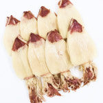 (주)서해 한치 40미 30미 25미 20미 최상급한치 가정용 업소용 : 주식회사 서해체인스토아