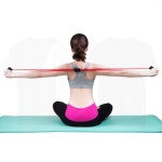 운동밴드 근력강화 스트레칭 홈트레이닝 튜빙 요가 : 금순상점