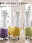장식 집들이 볼제 귀여운 체어 알파카 의자 거실 가정용 쿠션 빅사이즈 카페 : 슌심이네