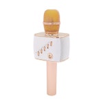 휴대용 블루투스 무선 마이크 가정용 노래방 에코 : 밀리언2