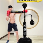 샌드백 코브라백 복싱 입식 회전 가정용 스피드볼 펀치볼 A. 스탠다드 복싱 드럼 타겟블랙 : 글로벌마켓탐험대