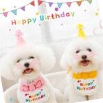 MS23034 반려동물 생일파티 [엠에스] 용품/애견용품/반려견/반려묘/애완용품 : 광명상회 강원도