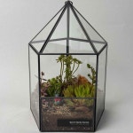 [경기 광주] 이끼숲 테라리움 클래스 : 솜씨당