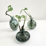 플라워 3P 수경재배 유리병 인테리어 꽃병 : 기타춘동