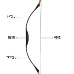국궁활 양궁용품 화살 대회 편전 각궁 몽골 활쏘기 스포츠 전통 20lb : 김포터즈02