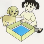 강아지실내배변유도 강아지대변실수 말티푸배변훈련 : 데이프랜드