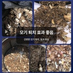 해충퇴치기 나방 포충기 나비 유인기 포집기 태양광 클래식 모기 보관함 모기 퇴치 램프 : 브링나우