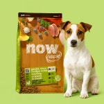 EXP26.12.22 l  나우 사료 그레인프리 독 스몰브리드 어덜트, 2.7kg, 1개 : 반려라이프