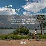 부산여행 을숙도 갈대밭 습지 사운드워킹 생태탐방 투어 : 코코아일랜드
