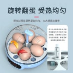 스마트 병아리부화기 자동 부화기 병아리 계란 A. 4 반자동 : 제엠오더블유