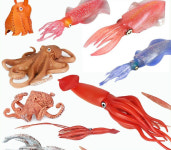 대왕오징어 피규어 해양 동물모형 대형 진짜같은 대왕 핑크오징어 : 더베어스