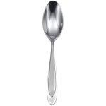 오네이다 오로라 티스푼 : HealthyCompany