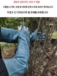 장미 가지치기 가죽 장갑 코팅장갑 작업장갑 면장갑 목장갑 짧은 칼에 강한 소가죽 25cm 랜덤 : 가든을 가꾸다 가꿈