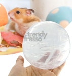 옵트 햄스터 운동장난감 햄스터헬스볼 소형동물운동볼 : 옵트샵