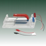 아리랑과학 전자기력 실험기기 레일형 과학의 힘 교육용 모델명 ARS-A7068 어린이 : 주식회사 명성무역