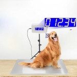 대형 강아지 체중계 동물병원 훈련소 동물 체중 규모 40x120cm/미끄럼방지/그레이+빨간LED : 밤부같이