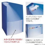 리히트 러브 문서 파일 아코디언 A4 12칸 13 포켓 서리 클리어 SOERU F8600-1 : Ottoo 샵