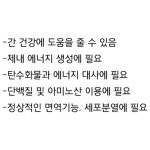 카르두스마리아누스 밀크티스 밀크티쓸 실마린 간 직장인 잦은 회식 야근 영양제 밀크씨 슬 실리마 밀크시 밀크씨유 실리마린 : 영양 제 후기 추천