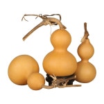 자연 미니 드라이 조롱박 박바가지 장식만들기 A. 평범한 미세 품질의 단일 조각 간호 오일 : 리유앤코