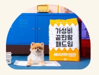 개님의 상점 강아지 배변패드 개님의 패드 소형 100매 : 대박이쥬