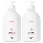 아케이 더마 리치리치 고보습 풋크림 2개 550ml : 가성비 가심비 정품 샵