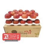 청송하이크린 고마운사과 33-36과(부사) 8kg 중소과 : 통증 LAB