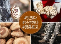 표고버섯가루 장흥 참나무 표고분말 100g 2개 선물세트 명절 추석 설날 박스 쇼핑백 : 글로스샵