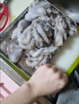 국산 최상급 뻘낙지 목포 낙지 신안 세발낙지 무안 산낙지 / 대-특대사이즈 진공포장 1팩(3마리) : 통증 LAB