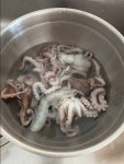 국산 목포세발낙지 신안 무안 뻘낙지 산낙지, 소낙지(10마리) : 통증 LAB