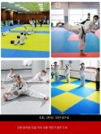 체육관 도장 매트 태권도 유도 합기도 낙법 완충 1m B급 손실판매 랜덤색상 5.0cm : 에이치제이디씨