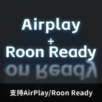 FiiO SR11 스트리밍 뮤직 Roon airplay 1년A/S Ready 리시 A. 은 : 연결상회