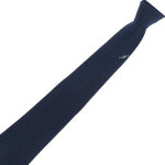 에스티듀퐁 네이비 솔리드 원 포인트 큐빅 넥타이 TE5FM61KA004TNY : 롯데백화점동래점