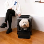 펍캐리어 강아지 캐리어 강아 A. 흰색 트롤리 박스, A. 30마리 이하의 애완동물에 적합 : 순금나무