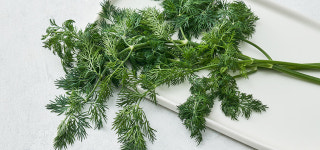 [원에이커팜] 친환경 GAP 딜 10g : 컬리N마트